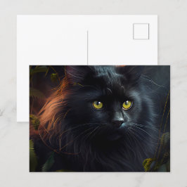 Cartes Postales Black Cat