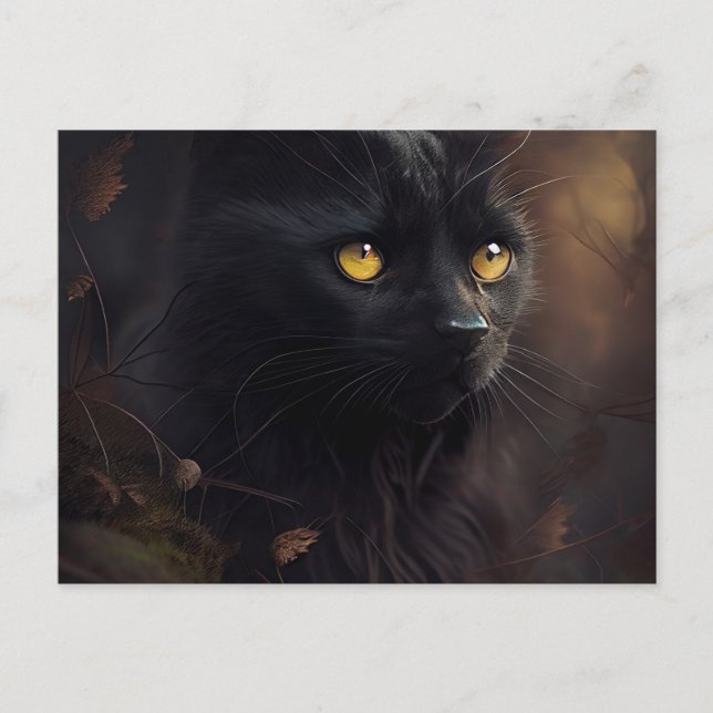 Cartes Postales Black Cat (Anverso)