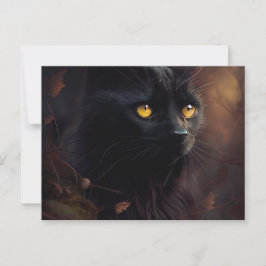 Cartes Postales Black Cat