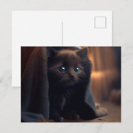 Cartes Postales Black Cat