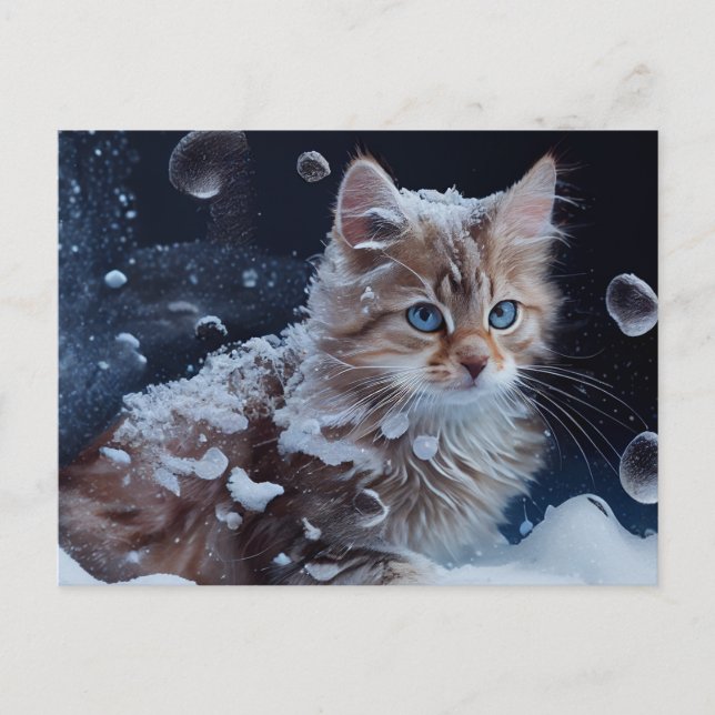 Cartes Postales Cat Divers (Anverso)