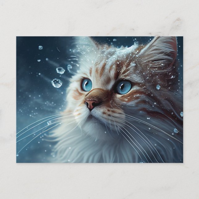 Cartes Postales Cat Divers (Anverso)