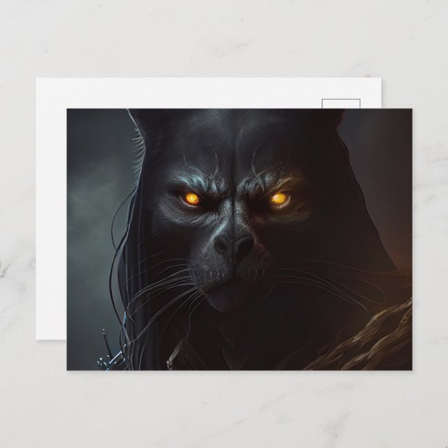 Cartes Postales Chat capuche (Anverso / Reverso)