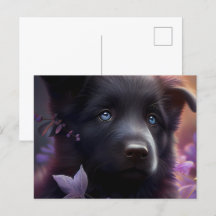 Cartes Postales Chien Mauve