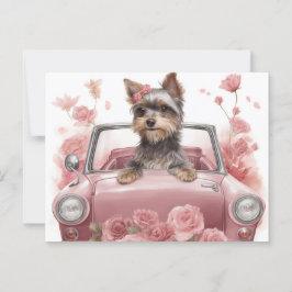 Cartes Postales Dog Yorkshire