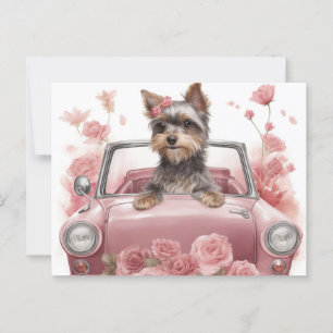 Cartes Postales Dog Yorkshire