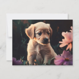 Cartes Postales Puppy