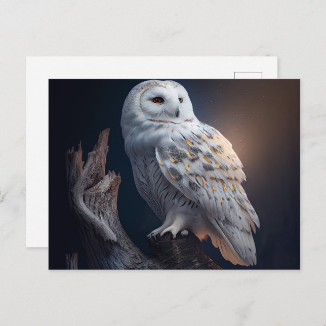 Cartes Postales snowy owl (Anverso / Reverso)