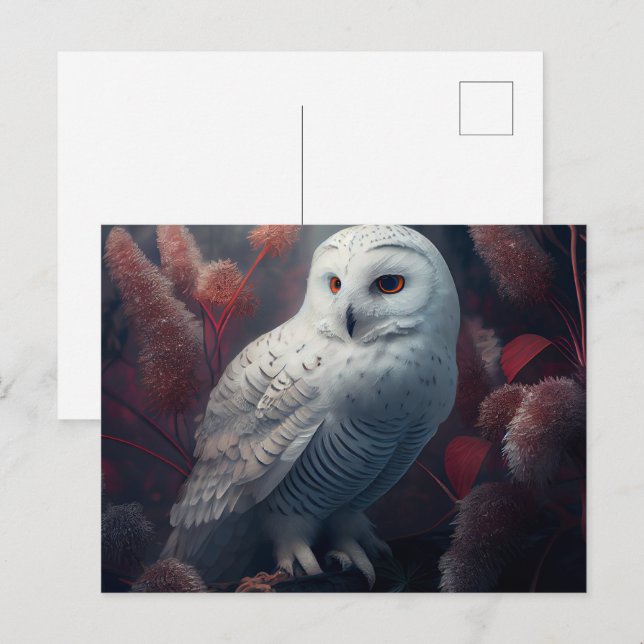 Cartes Postales snowy owl (Anverso / Reverso)