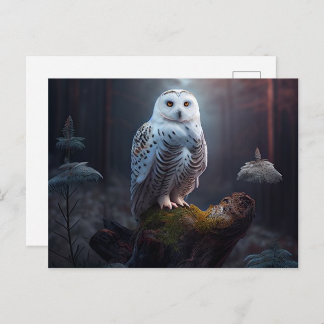 Cartes Postales snowy owl (Anverso / Reverso)