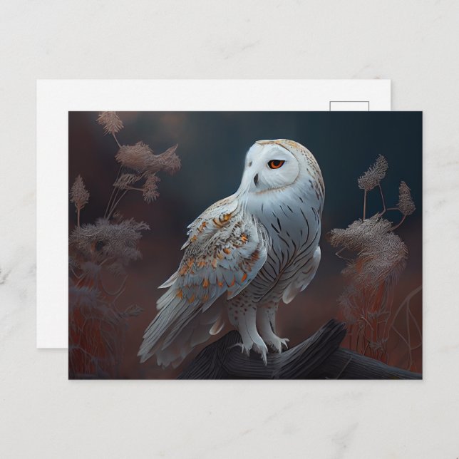 Cartes Postales snowy owl (Anverso / Reverso)