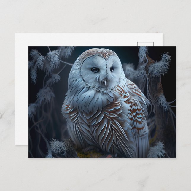 Cartes Postales snowy owl (Anverso / Reverso)