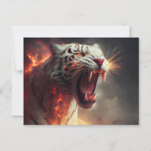 Cartes Postales White Tiger