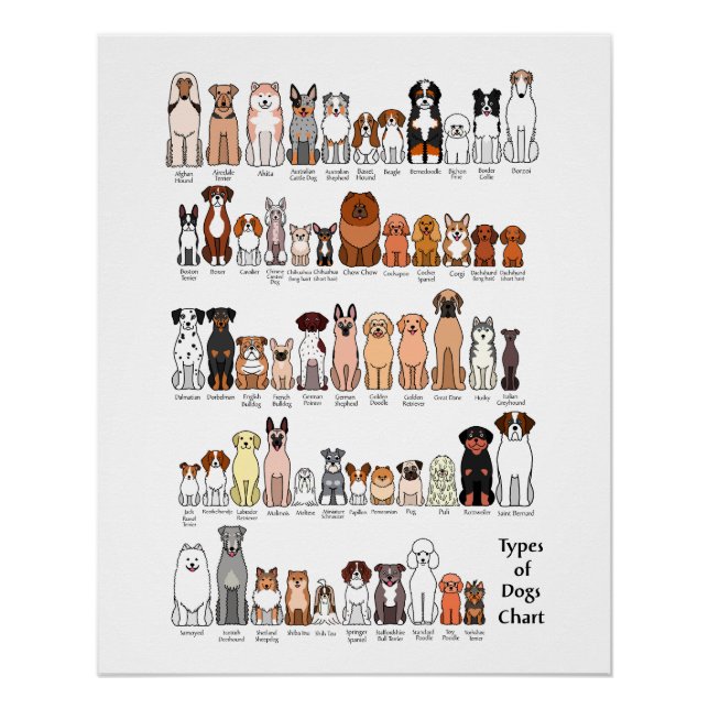 cartoon dog breeds poster (Anverso)