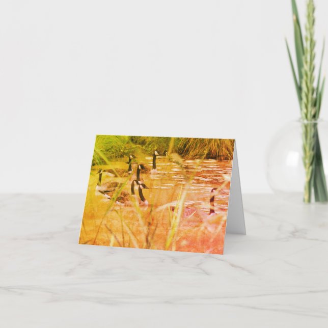 Cartucho de notas en blanco para la naturaleza del (Anverso)