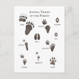 Cartuchos animales de postales naturales del bosqu