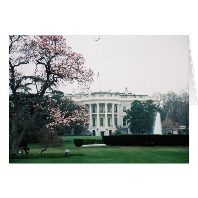 Casa Blanca con flores de cerezo (Anverso (Horizontal))