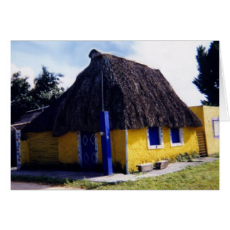 Casa Cute Cozumel con techo de paja