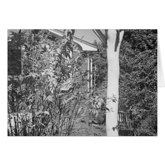 Casa de aves en el jardín (Anverso (Horizontal))