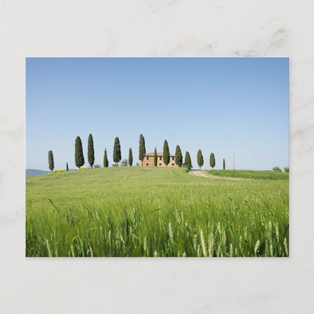 Casa de campo en la Toscana con postal para cipres (Anverso)