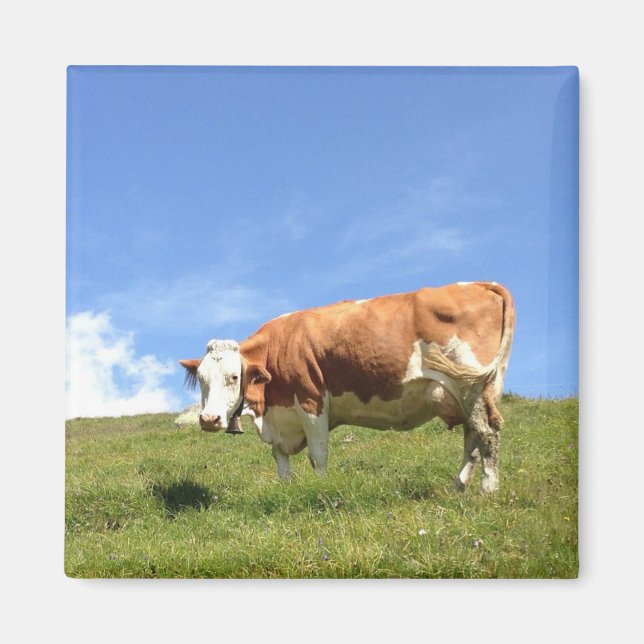 Casa de huéspedes mirada de lejano - imán de vaca (Frente)