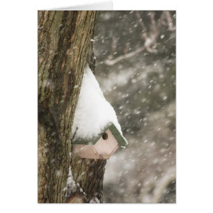 Casa de pájaro en un árbol en tormenta