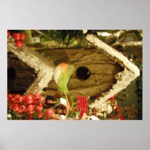 Casa de pájaros y pájaros posters