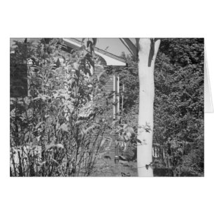 Casa del pájaro en jardín