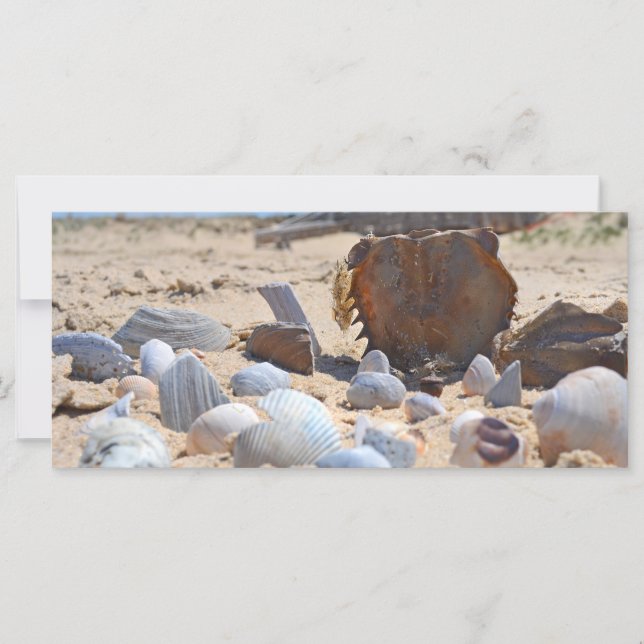 Casas de mar en la playa por Shirley Taylor (Anverso)