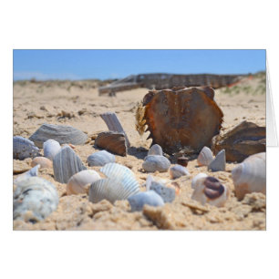 Casas de mar en la playa por Shirley Taylor