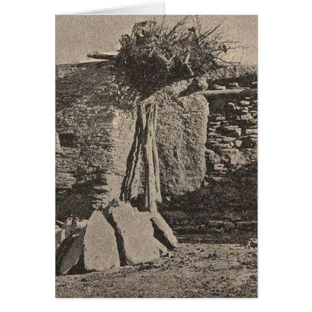 Casas Oraibi (Frente)