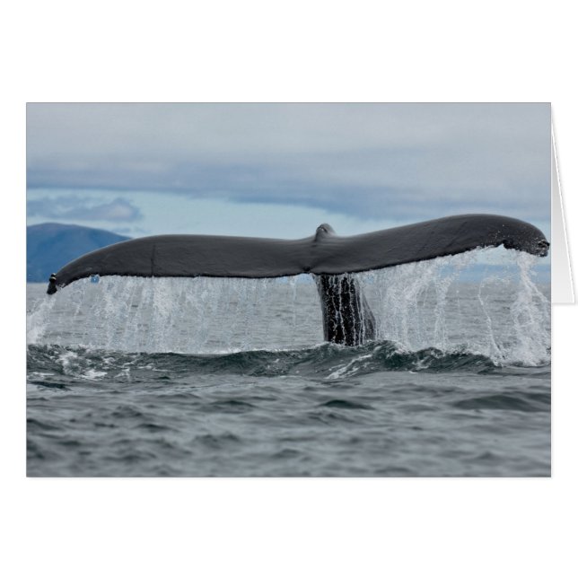 Cascada (Anverso (Horizontal))