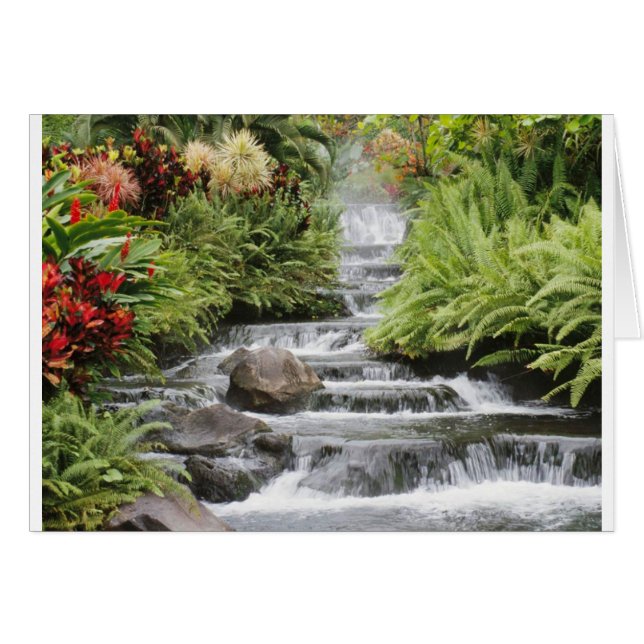 Cascada (Anverso (Horizontal))