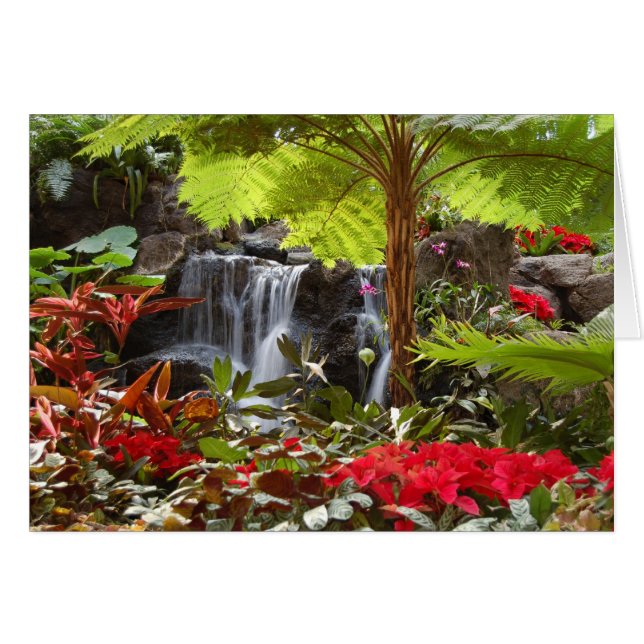 Cascada (Anverso (Horizontal))