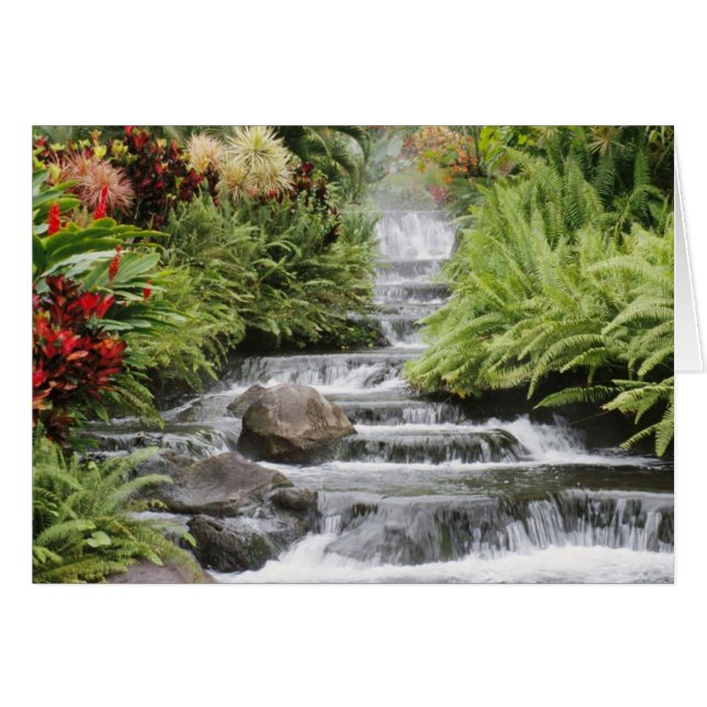 Cascada (Anverso (Horizontal))