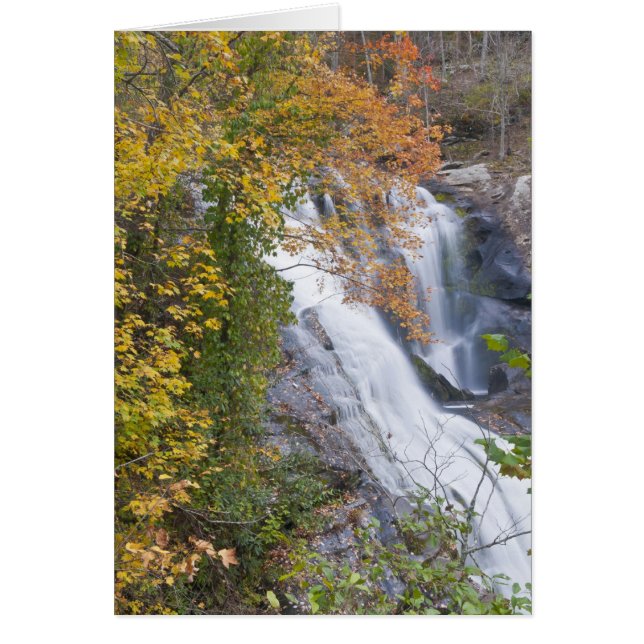 Cascada Bald River (Frente)