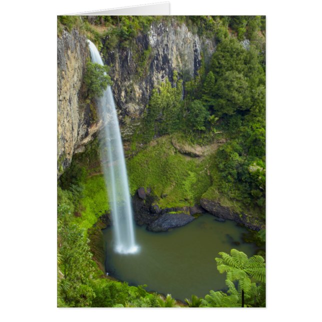 Cascada Bridal Veil, Nueva Zelanda (Frente)