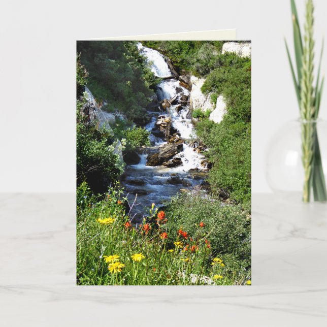 Cascada con flores silvestres, tarjeta de saludo N (Anverso)