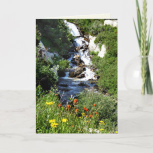 Cascada con flores silvestres, tarjeta de saludo N