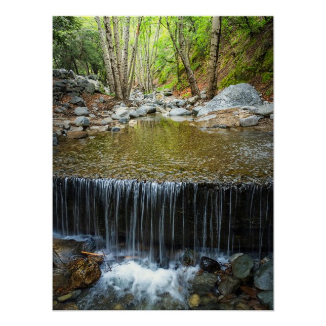 Cascada de agua del bosque: impresión de arroyo de (Anverso)