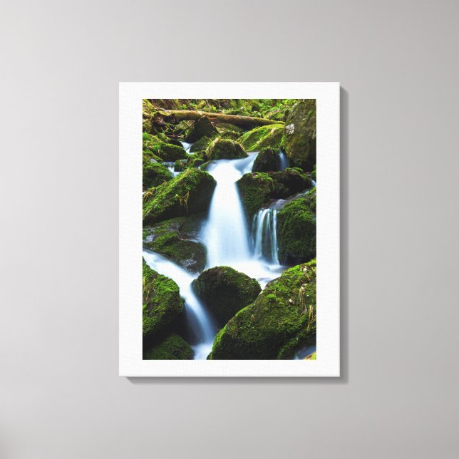 Cascada de arte de lienzo (Anverso)