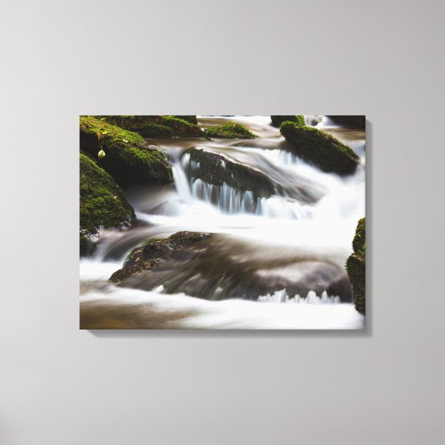 Cascada de arte de lienzo (Anverso)