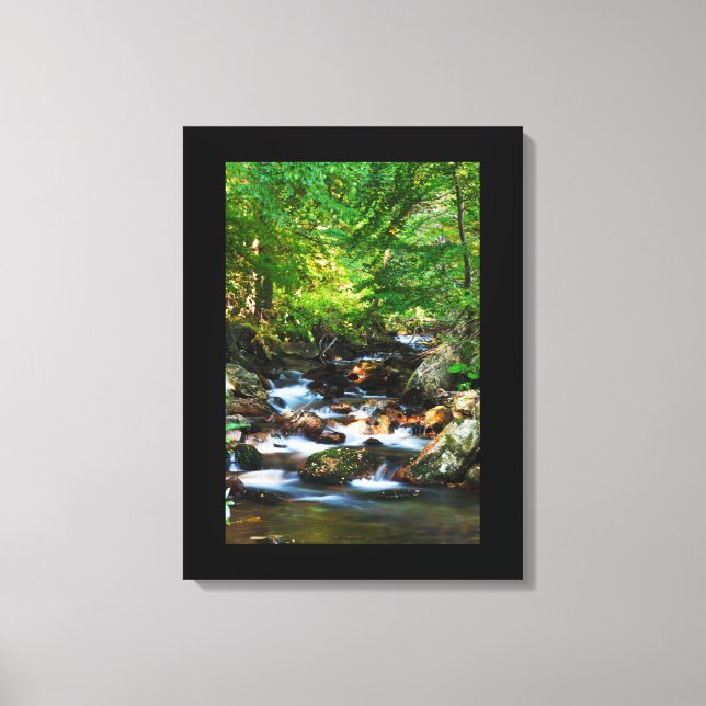 Cascada de arte de lienzo (Anverso)