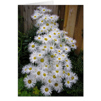 Cascada de Daisy
