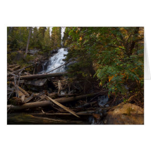 Cascada de helechos en el Parque Nacional de las M