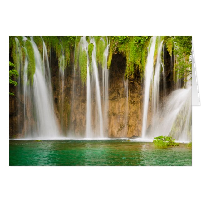 Cascada de verano verde (Anverso (Horizontal))