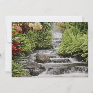 Cascada dorada