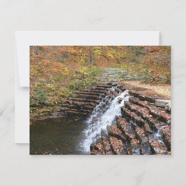 Cascada en el Parque Estatal Laurel Hill (Anverso)