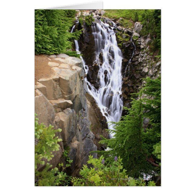 Cascada en el Parque Nacional Mount Rainier (Frente)