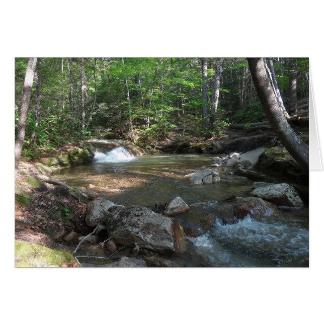 Cascada en el río I de Pemigewasset (Anverso (Horizontal))